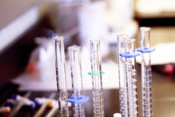 Constanţa, menţiune la Concurs naţional de Chimie